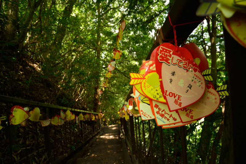 高森村_2
